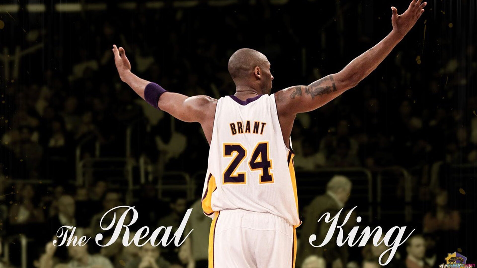 FB体育试玩-生涯之夜！杰伦格林狂飙破纪录，猛龙强势压制山西显威